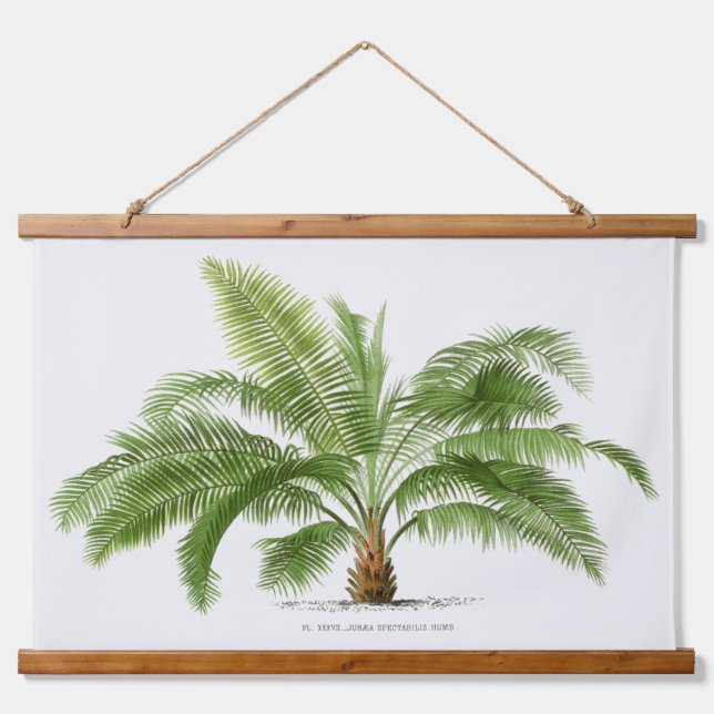 Tapiz Con Marco De Madera Palm Print -Pieter Joseph de Pannemaeker 1832-1904 (Anverso )