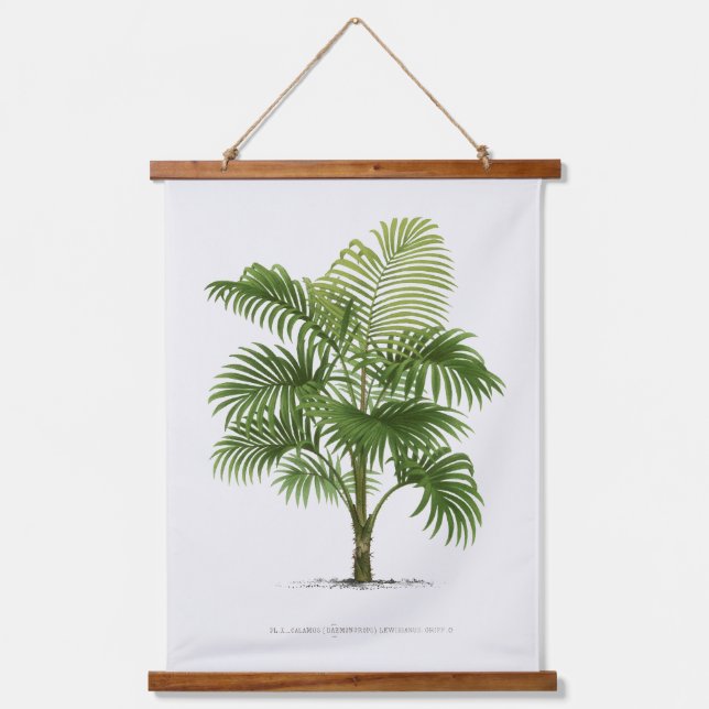 Tapiz Con Marco De Madera Palm Print -Pieter Joseph de Pannemaeker 1832-1904 (Anverso)