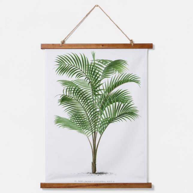 Tapiz Con Marco De Madera Palm Print -Pieter Joseph de Pannemaeker 1832-1904 (Anverso)