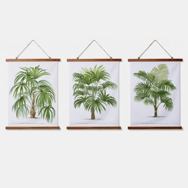 Tapiz Con Marco De Madera Palm Print -Pieter Joseph de Pannemaeker 1832-1904 (Triple)