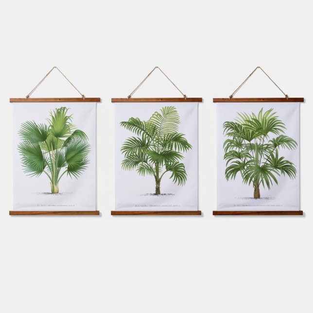 Tapiz Con Marco De Madera Palm Print -Pieter Joseph de Pannemaeker 1832-1904 (Triple)