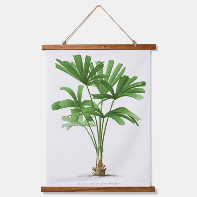 Tapiz Con Marco De Madera Palm Print -Pieter Joseph de Pannemaeker 1832-1904 (Anverso)