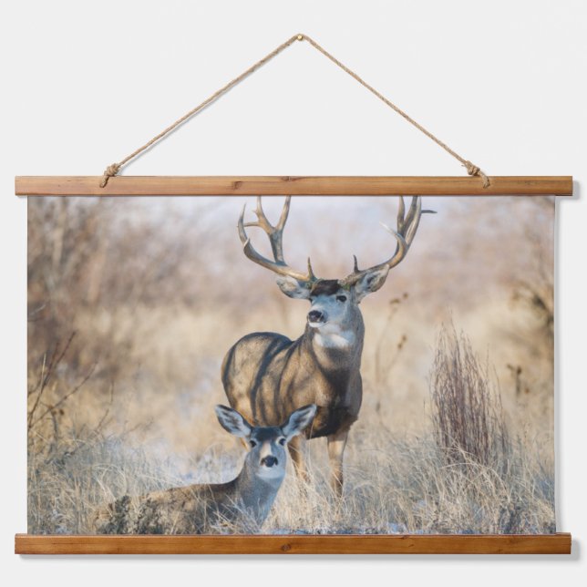 Tapiz Con Marco De Madera Pareja Buck | Mule Deer (Anverso )