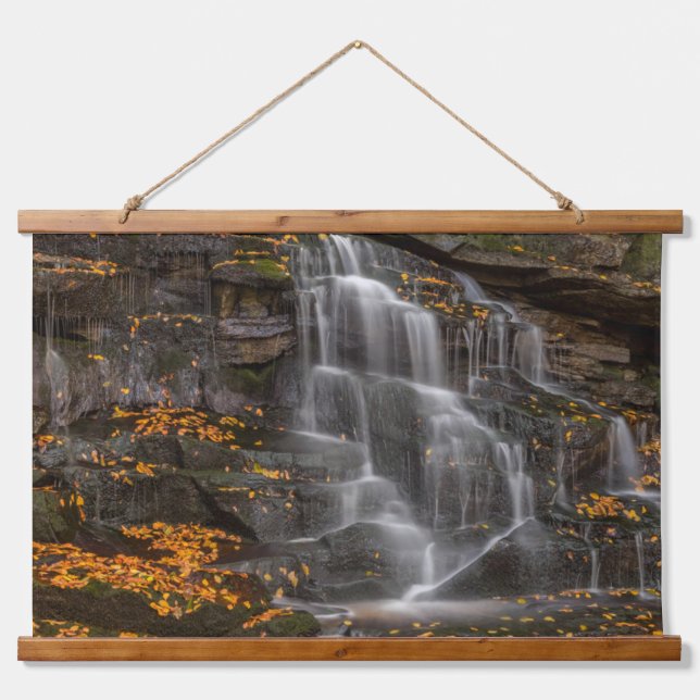 Tapiz Con Marco De Madera Parque Estatal Blackwater Falls (Anverso )