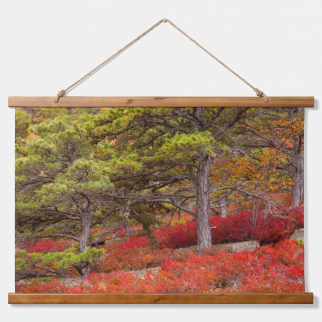Tapiz Con Marco De Madera Parque nacional Acadia, Maine (Anverso )