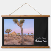 Parque nacional Joshua Trees