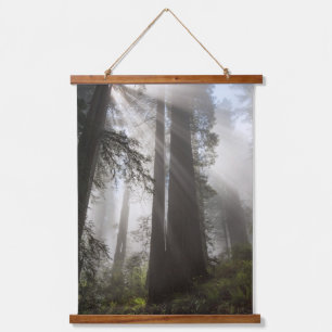 Tapiz Con Marco De Madera Parque Nacional Redwood California