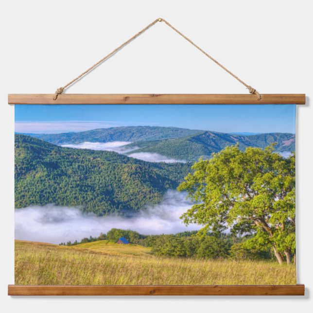 Tapiz Con Marco De Madera Parque Nacional Redwood, California (Anverso )