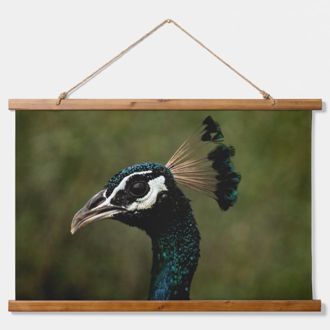 Tapiz Con Marco De Madera Perfil de pavo real  (Anverso )