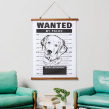 Perro de Agua Retriever Dorado Buscado