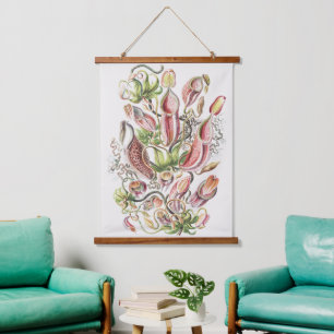 Tapiz Con Marco De Madera Planta jarra botánica vintage de Ernst Haeckel