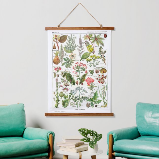 Tapiz Con Marco De Madera Póster Botánico Francés Antiguo (Sala de estar)