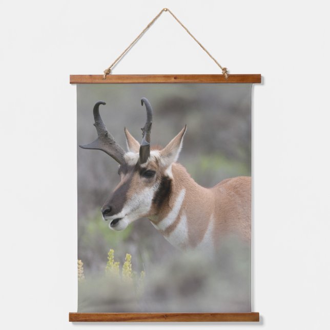 Tapiz Con Marco De Madera Pronghorn Antelope Buck | Grandes tetones (Anverso)