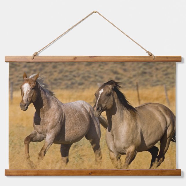 Tapiz Con Marco De Madera Ranch Living in the Ponderosa Ranch (Anverso )