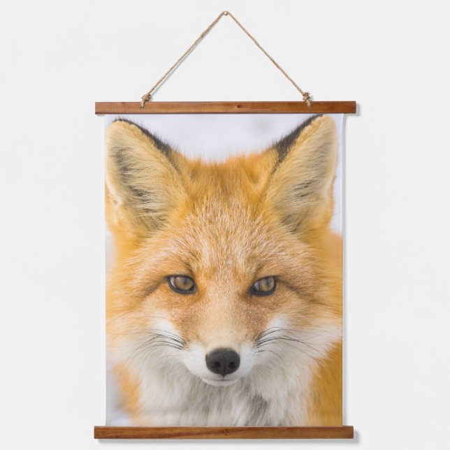 Tapiz Con Marco De Madera Red Fox Portrait (Anverso)