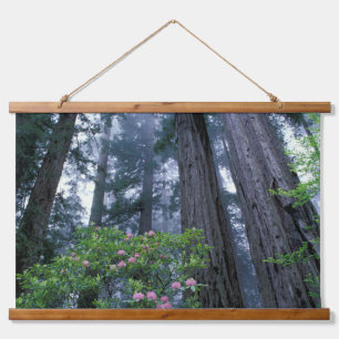 Tapiz Con Marco De Madera Redwoods costeros y Rhododendrons