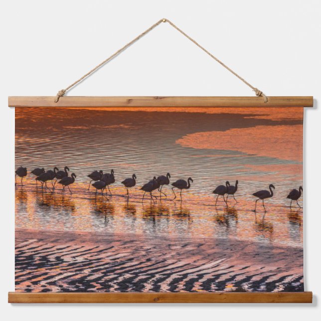 Tapiz Con Marco De Madera Reserva Nacional de la Fauna Andina Eduardo Abaroa (Anverso )