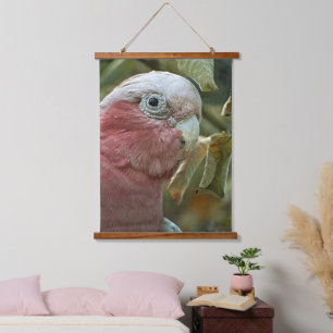 Tapiz Con Marco De Madera Retrato de ave australiana Galah Cockatoo rosa