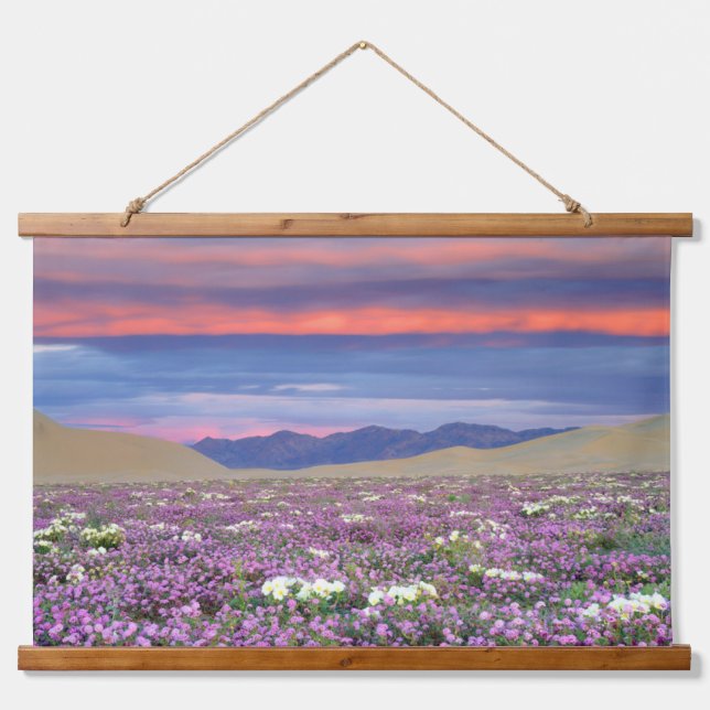 Tapiz Con Marco De Madera Sand Verbena y Dune Primrose Wildflowers at Sunset (Anverso )