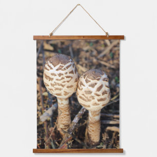 Tapiz Con Marco De Madera Sefalea común parasol