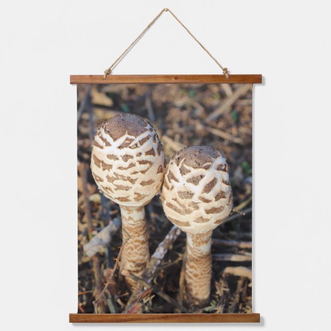 Tapiz Con Marco De Madera Sefalea común parasol (Anverso)