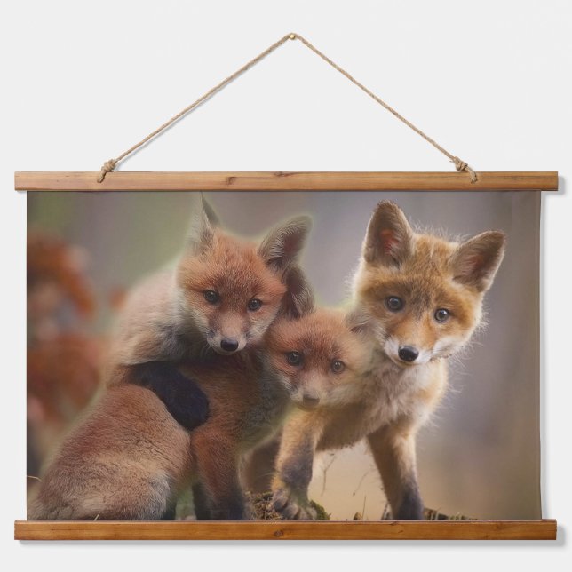 Tapiz Con Marco De Madera Trillizos Foxy (Anverso )