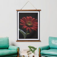 Un Lado Izquierdo Rojo En Negro,