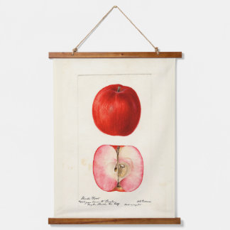 Tapiz Con Marco De Madera Variedad de Shasta de color de agua pomológica