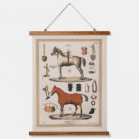 Vintage Ilustracion Race Horse Ecuestres