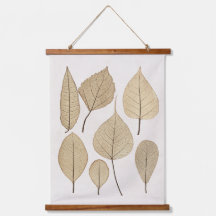 Vintage Naturalist Botanic Drawing | Saltos 1858