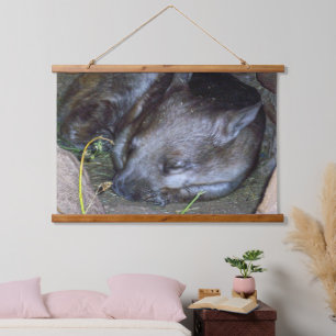 Tapiz Con Marco De Madera Wombat Australiano Duerme En Su Cena, Pared Colgan
