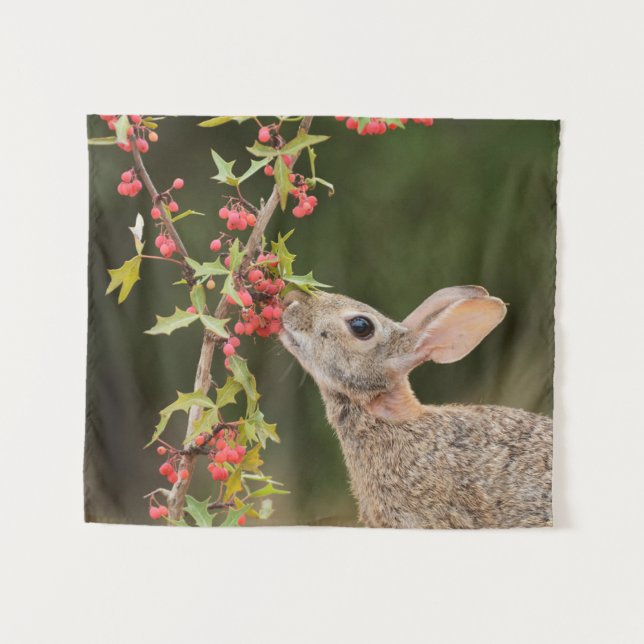 Tapiz Cottontail oriental | Texas del Sur (Anverso (horizontal))