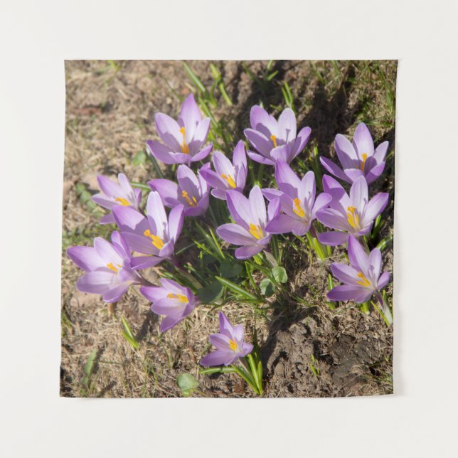 Tapiz Crocus primaverales lindos (Anverso)