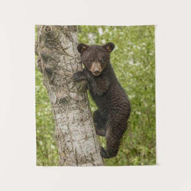 Tapiz Cubo de oso negro en el árbol (Anverso)