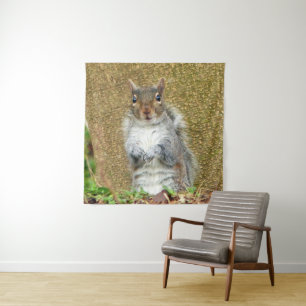 Tapiz Cute Squirrel