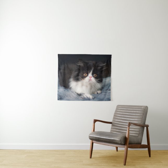 Tapiz Cutest Baby Animals | Fluffy B&W Kitten (In situ (horizontal))