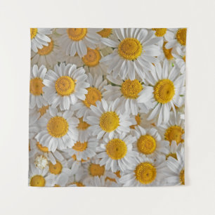 Tapiz Daisies blancos: Hermoso fondo floral