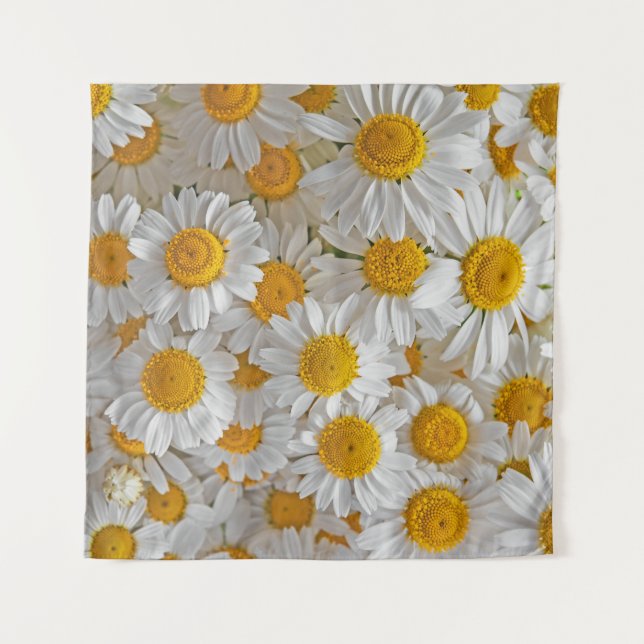 Tapiz Daisies blancos: Hermoso fondo floral (Anverso)