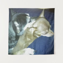Tapiz de Amor de Cachorro