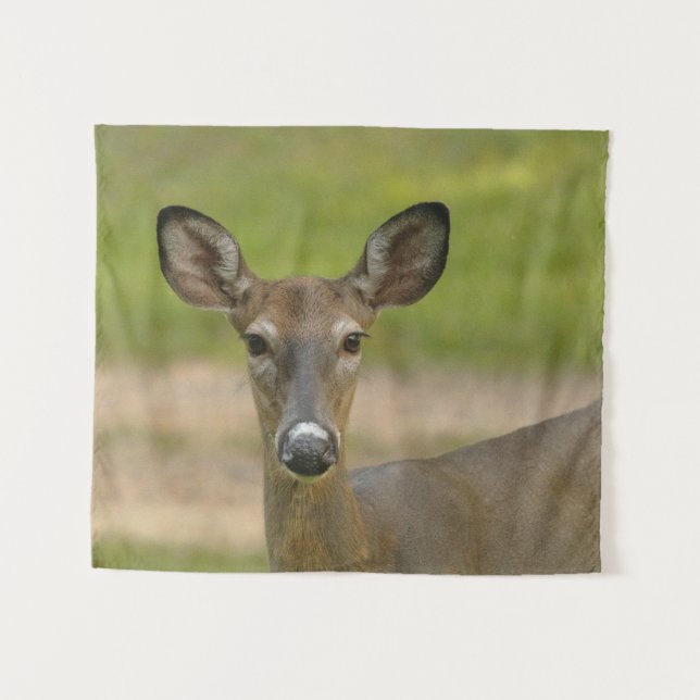 Tapiz De Deer (Anverso (horizontal))