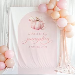 Tapiz de fondo del arco Baby Shower de calabaza