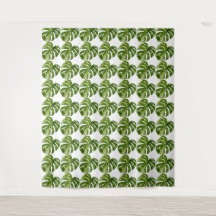 Tapiz de Monstera Albo — Gran Variegación Rara