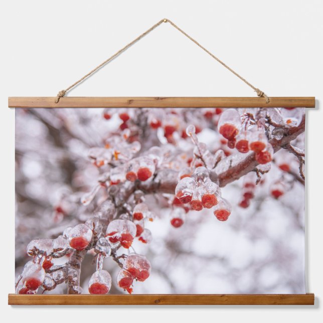 Tapiz de pared (Anverso )