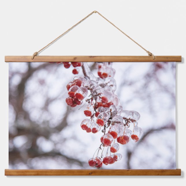 Tapiz de pared (Anverso )