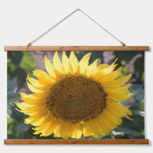 Tapiz de pared
