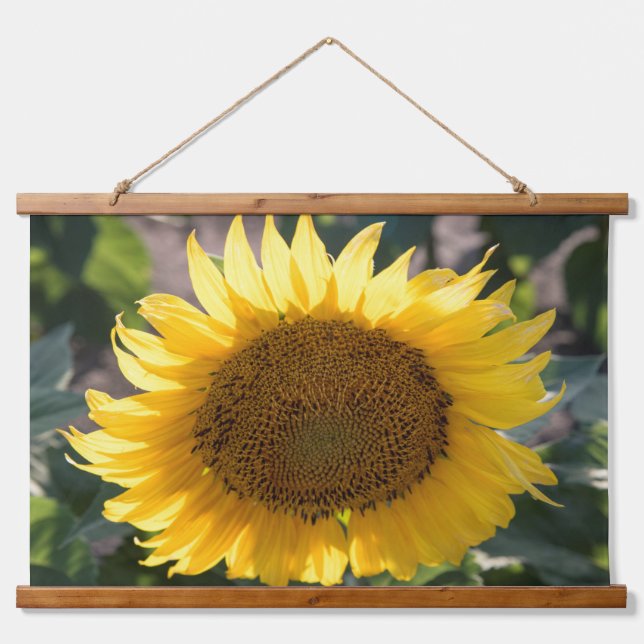 Tapiz de pared (Anverso )