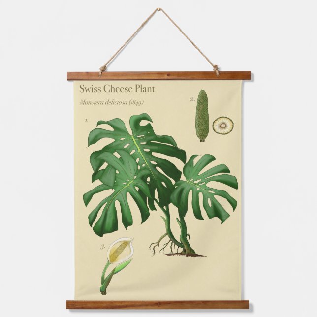 Tapiz de pared botánico de Monstera Swiss Cheese (Anverso)
