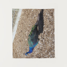 tapiz de pavo real azul indio