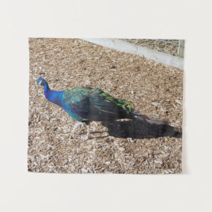 tapiz de pavo real azul indio