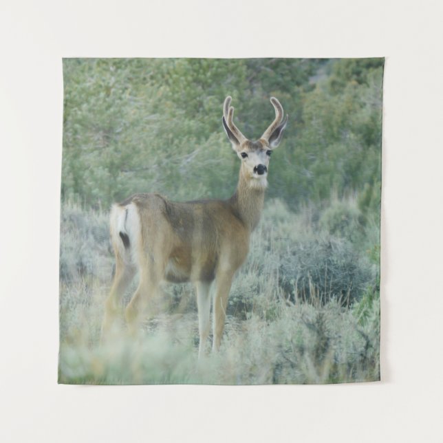 Tapiz Deer (Anverso)